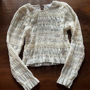 Beautiful sheer blouse